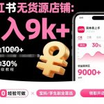 小红书无货源店铺项目，简单易上手，月入9k+，保姆级教程