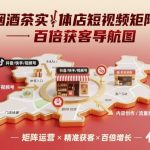 烟酒茶实体店短视频矩阵百倍获客导航图