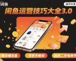 闲鱼运营技巧大全3.0，引爆店铺流量，手把手教你玩转二手电商平台