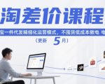 淘差价课程，淘宝一件代发精细化运营模式，不囤货低成本做电商（更新10月）