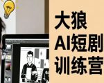 大狼AI短剧训练营-短剧课程（更新中）