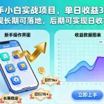 新手小白实战项目，单日收益3张+，正规长期可落地，后期可实现日收1k+【揭秘】