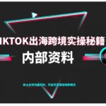 TikTok跨境电商0-1搭建运营，TK出海跨境实操秘籍（10月更新）
