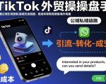 TikTok外贸操盘手，打通公域引流到私域成交全链路，低成本获取高质量海外询盘