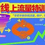 IP线上流量特训营，手把手教你搞流量、做IP、稳变现