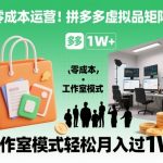 零成本运营！拼多多虚拟品矩阵运营，工作室模式轻松月入过1W