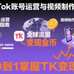 2025最新TikTok账号运营与视频制作实战全流程，从0到1掌握TK变现（含11月最新TK搬运技术）