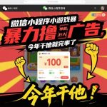 微信小程序小游戏暴力撸广告，单机日入100，今年干他就完事了