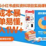 2025小红书虚拟资料项目实战课程，0成本暴利玩法，简单易懂，月入1W+