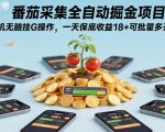 番茄采集全自动掘金项目，手机无脑挂G操作，一天保底收益18+可批量多开【揭秘】
