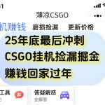 12月年底抓紧最后一个月，用CSGO游戏挂G捡漏掘金賺钱掘金，一部手机轻松日入5张+【揭秘】
