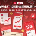 120天小红书涨粉变现训练营Pro版，​精准涨粉，高效变现​，为你量身打造的实战解决方案