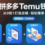 海外拼多多temu钱攻略从0到1打造店铺，轻松爆单
