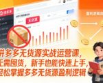 拼多多无货源实战运营课，无需囤货，新手也能快速上手，轻松掌握多多无货源盈利逻辑