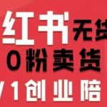 小红书无货源0粉电商课，开店准备、选品策略、笔记撰写、视频剪辑、数据分析、账号打造、资料文档（更新）