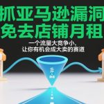 抓亚马逊漏洞，免去店铺月租，一个流量大竞争小，让你有机会成大卖的赛道