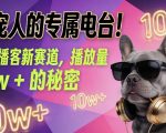 养宠人的专属电台！萌宠播客新赛道，播放量10w+的秘密