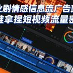 专业剧情感信息流广告剪辑，精准拿捏短视频流量密码