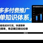 拼多多付费推广爆单知识体系，新手也能低成本引流，快速爆单，单店铺日销500单