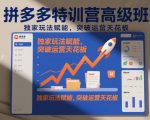 拼多多特训营高阶班，独家玩法赋能，突破运营天花板（更新26年2月）
