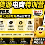 闲鱼无货源电商特训营，从0到1系统教学，帮你完整掌握闲鱼无货源电商的运营方法