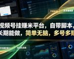 视频号挂賺米平台，自带脚本，长期能做，简单无脑，多号多賺【揭秘】