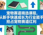 红果漫剧拉新营销号盘点玩法全流程实战，0粉丝也能做，一部手机就能做，爆一条单日收益2k+（更新0628）